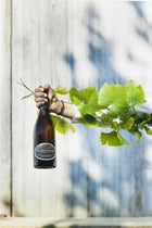 Champagne Volloreaux - Brut Réserve