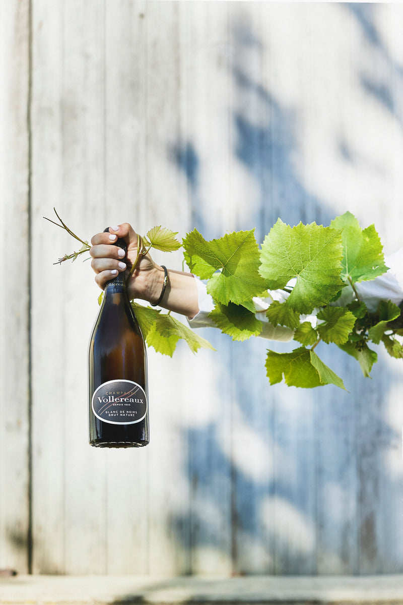Champagne Volloreaux - Brut Réserve