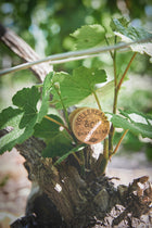 Champagne Volloreaux - Brut Réserve