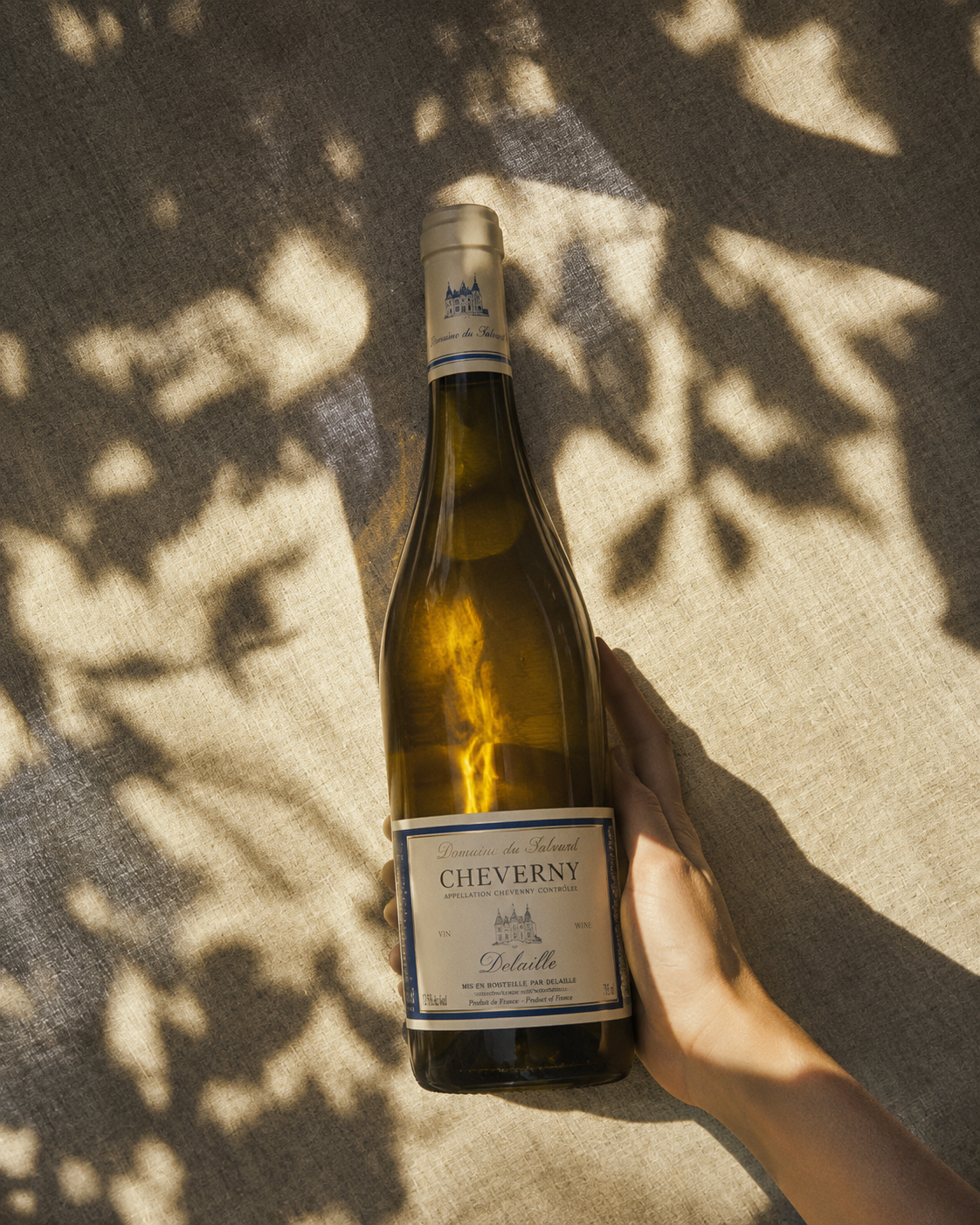 Cheverny – Domaine du Salvard – Vignoble Delaille 2025