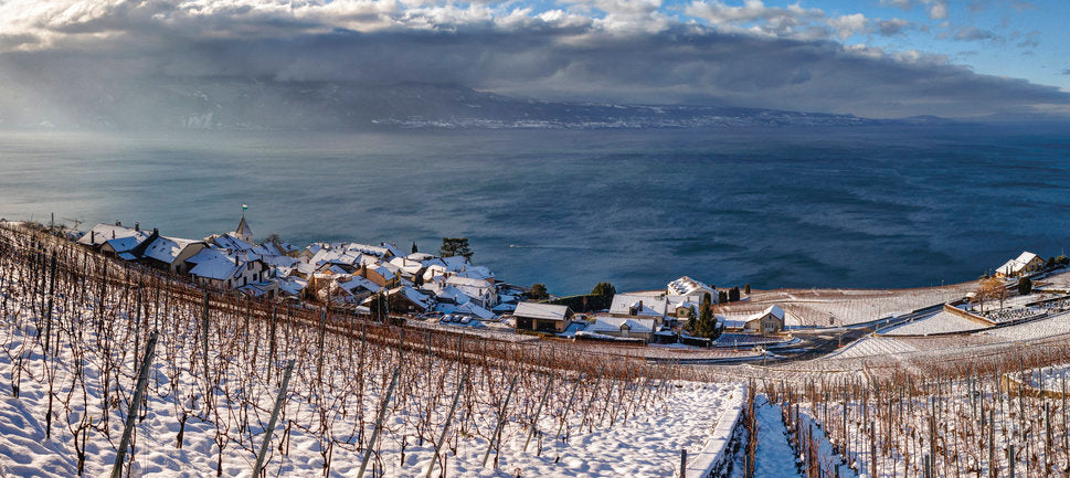 Vins bio et biodynamiques sélectionnés par Torevitis auprès de vignerons suisses et français