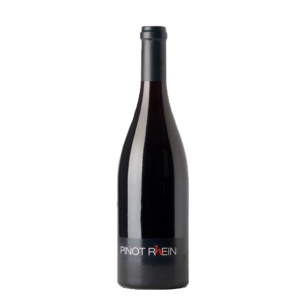 Grisons – Pinot R(h)ein – Weingüter Adank, Lampert, Treib 2021 