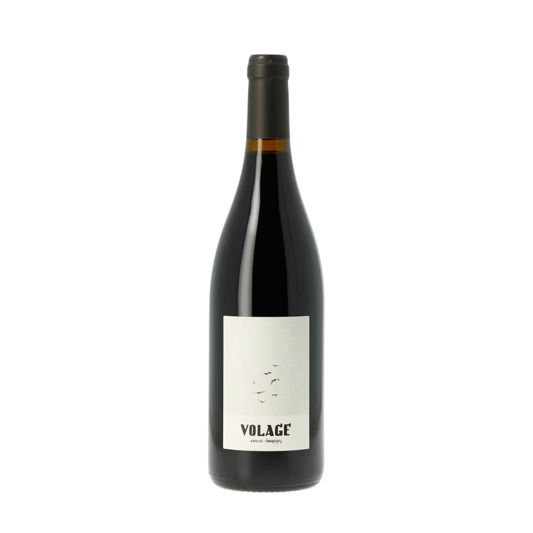 Saumur-Champigny - Volage - Les Clos Maurice - 2023