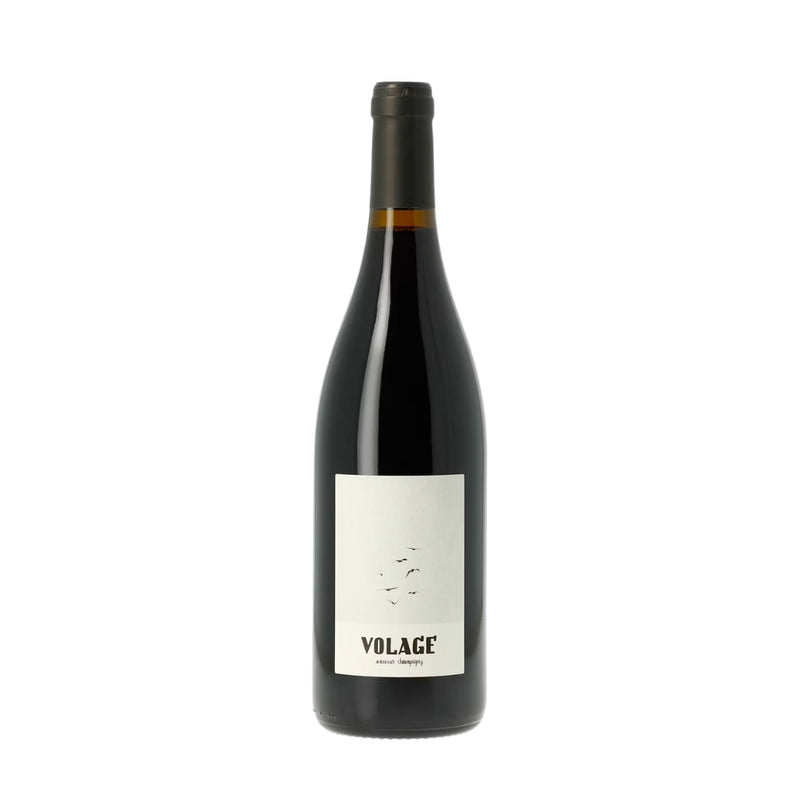 Saumur-Champigny - Volage - Les Clos Maurice - 2023