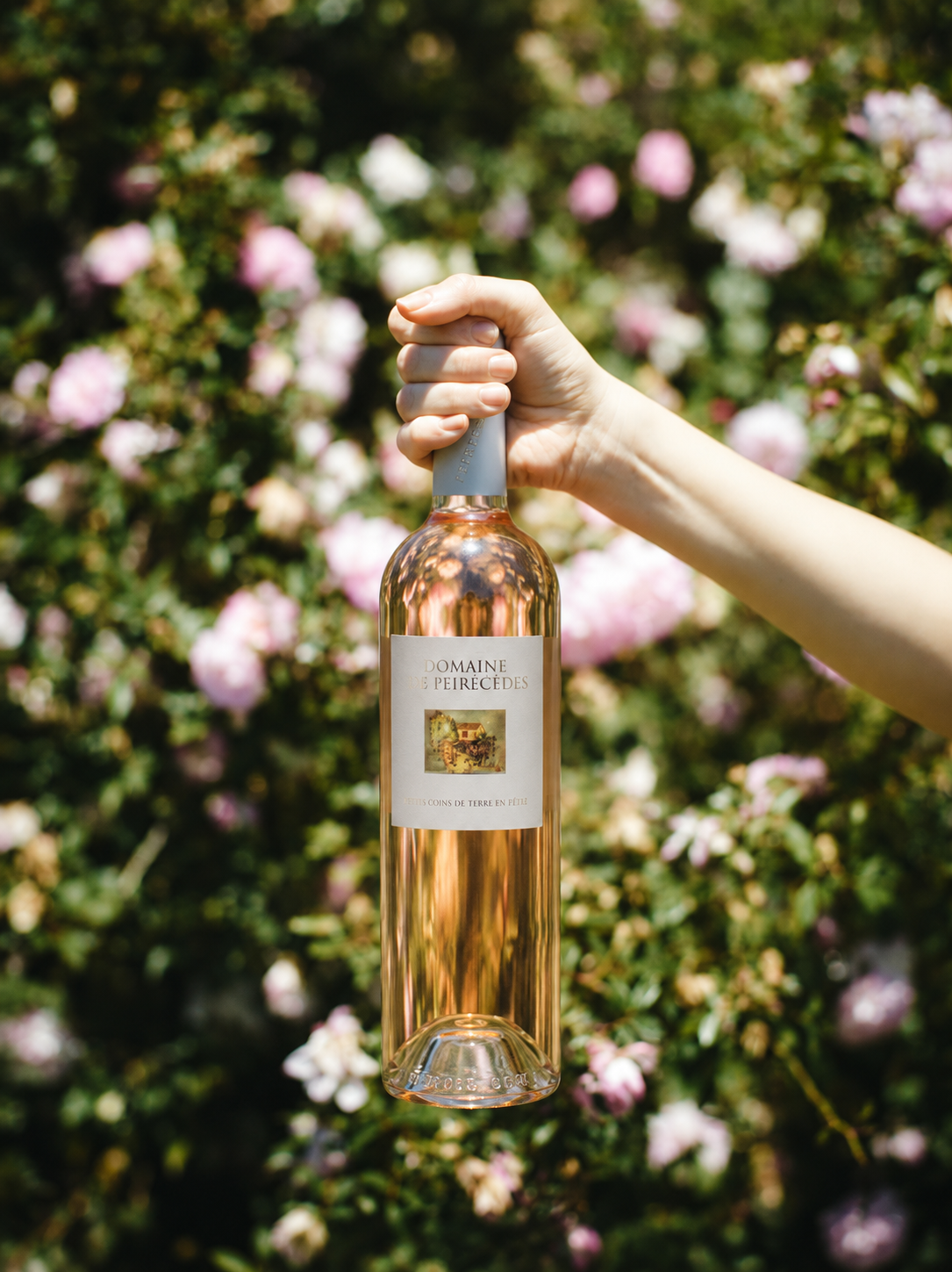 Côtes-de-Provence – Ariadnes Faden – Domaine des Peirecèdes 2024 