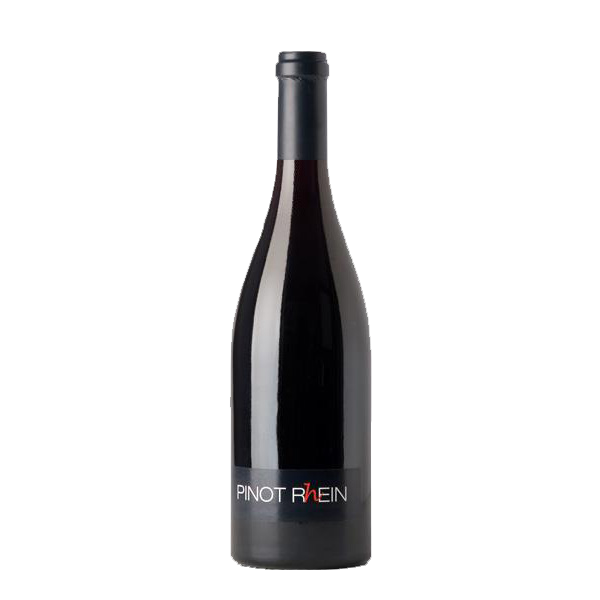 Grisons - Pinot R(h)ein - Weingüter Adank, Lampert, Treib 2021