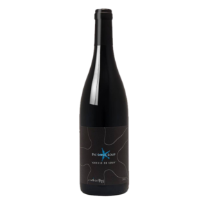Pic-Saint-Loup - Gueule de Loup - Domaine le Chemin des Rêves- 2022